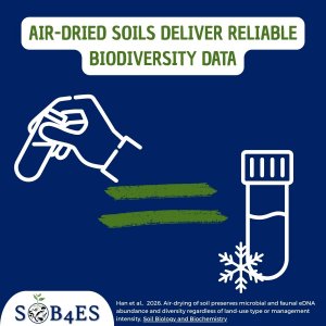 Air-dried soils deliver reliable biodiversity data, new SOB4ES study shows