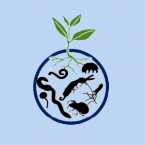 We are hiring! PostDoc in Soil Biodiversity 80-100% (f/m/d) open at project partner WSL
