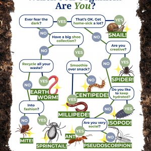 Which Soil Organism Are You? Take Our Quiz to Find Out!