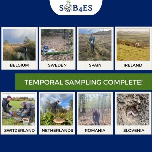 Temporal sampling complete in SOB4ES! Temporal sampling complete in SOB4ES!